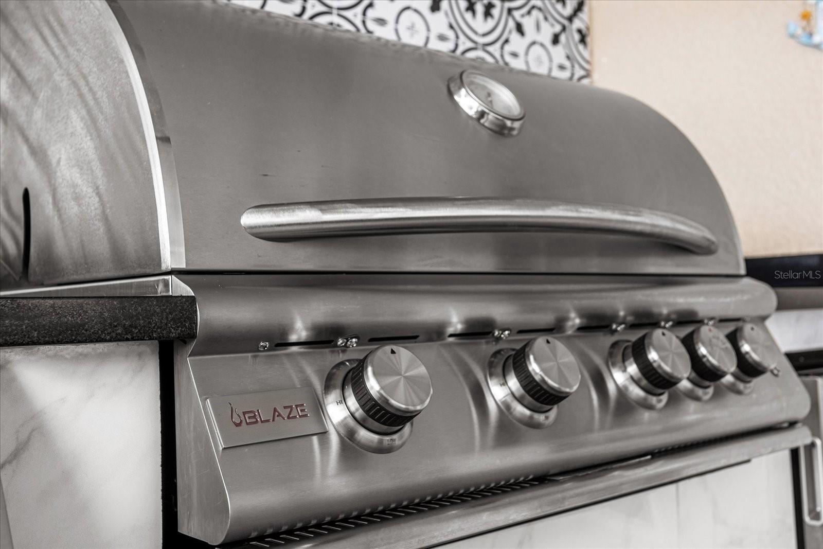 Gas Grill