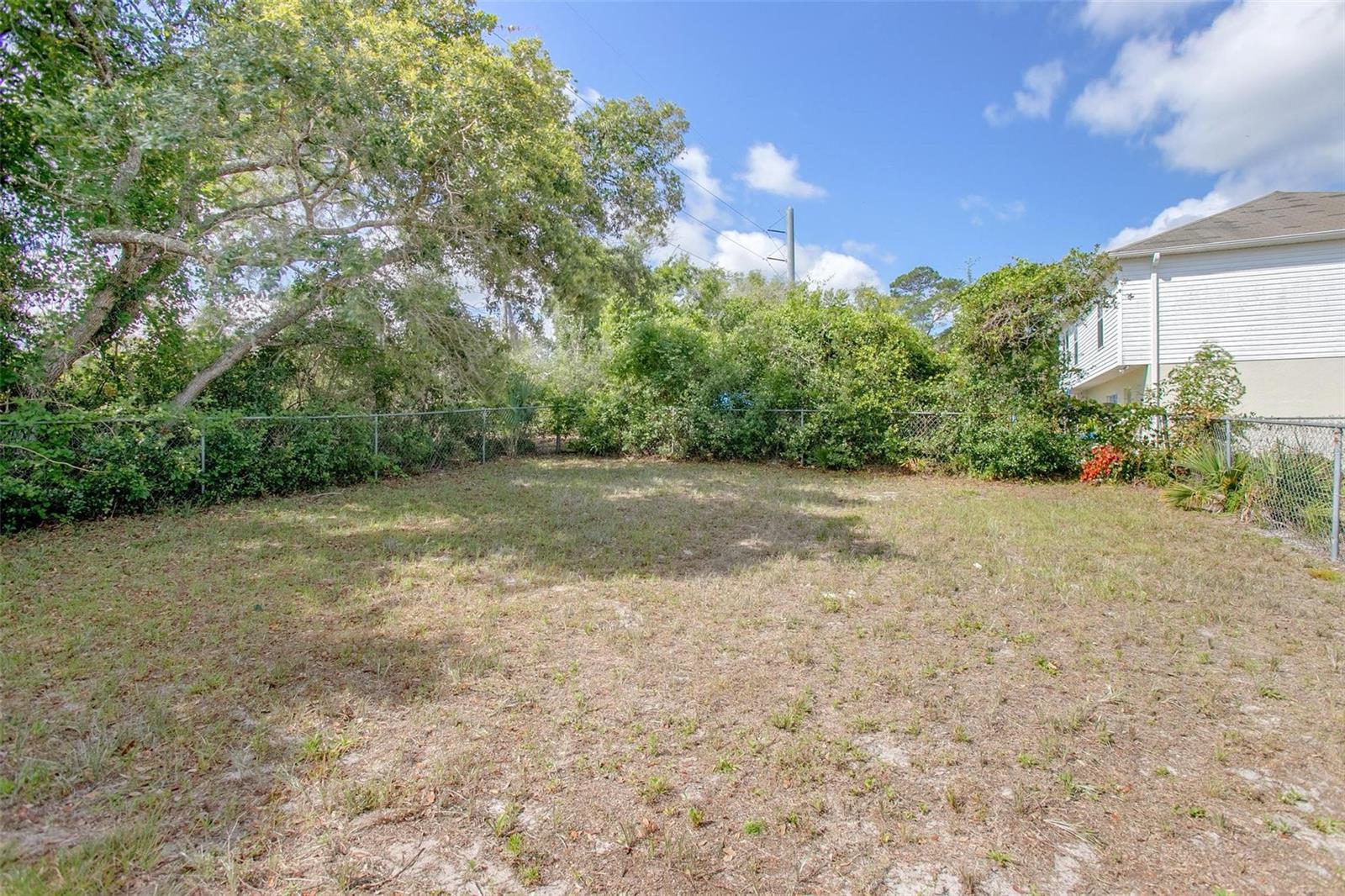 Backyard
