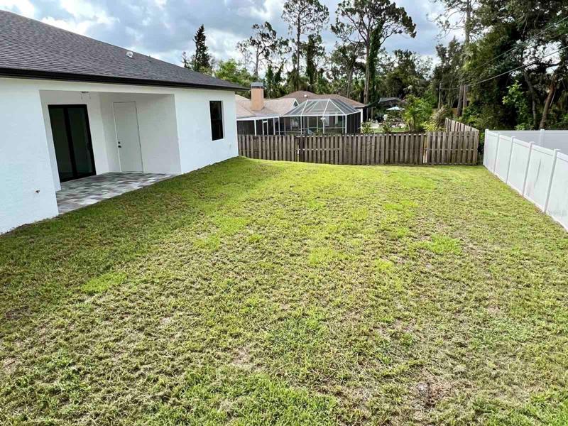 Backyard 2