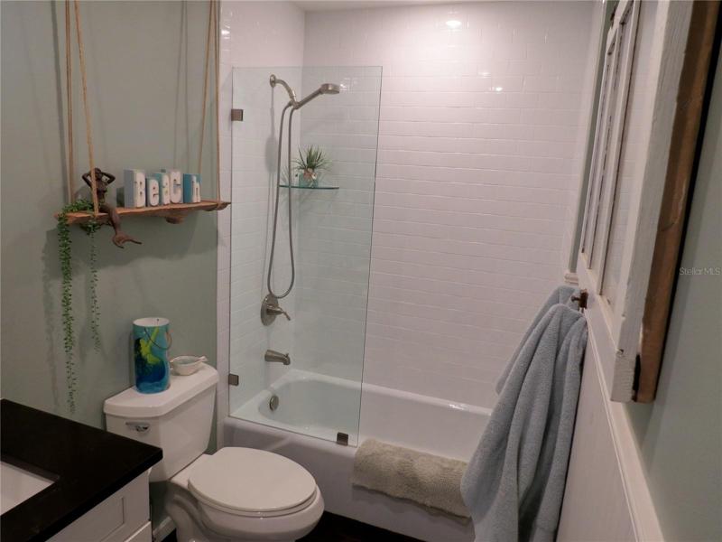 guest bath tub/shower combo