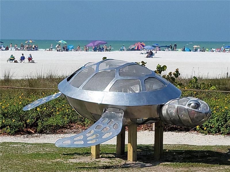 Save the Turtles