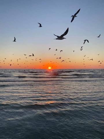 Public Beach at Siesta Beach!