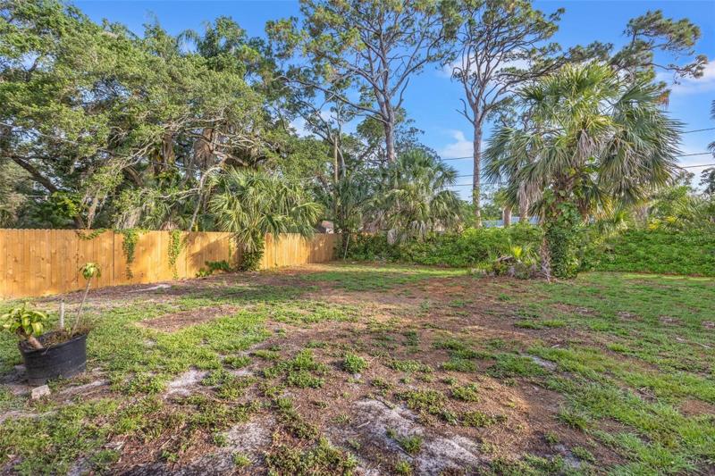 Oversized backyard