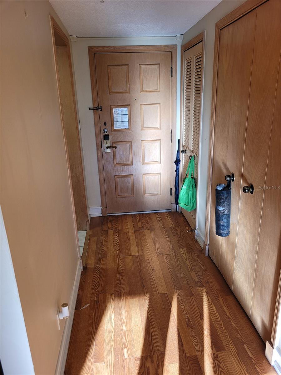 Interior hall to front door