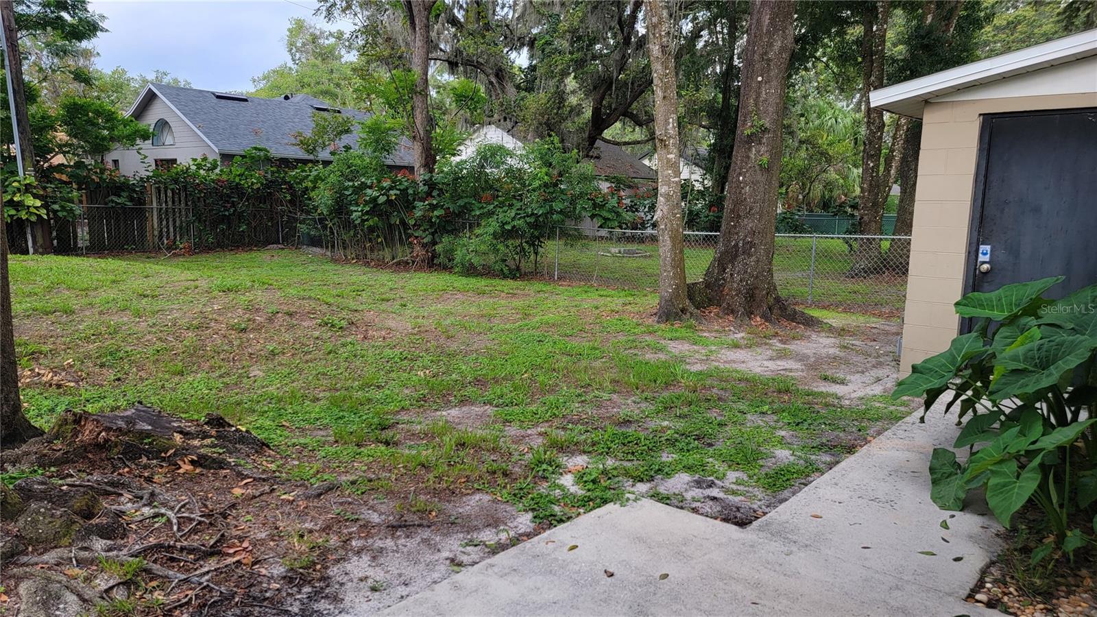 Back Yard