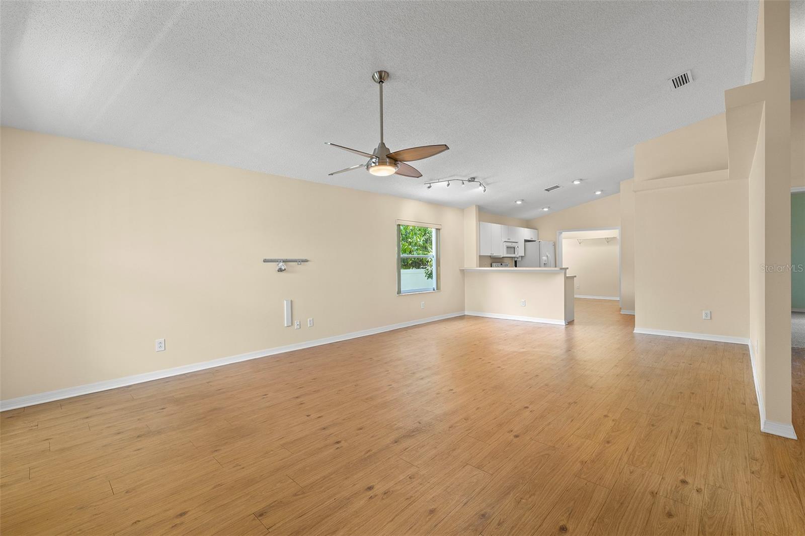 Large Living &amp; Dining Areas