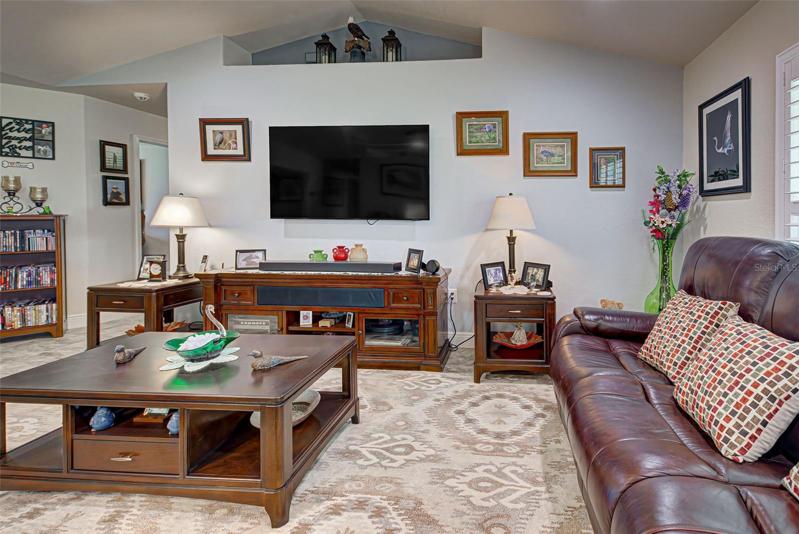Planter shelf above TV