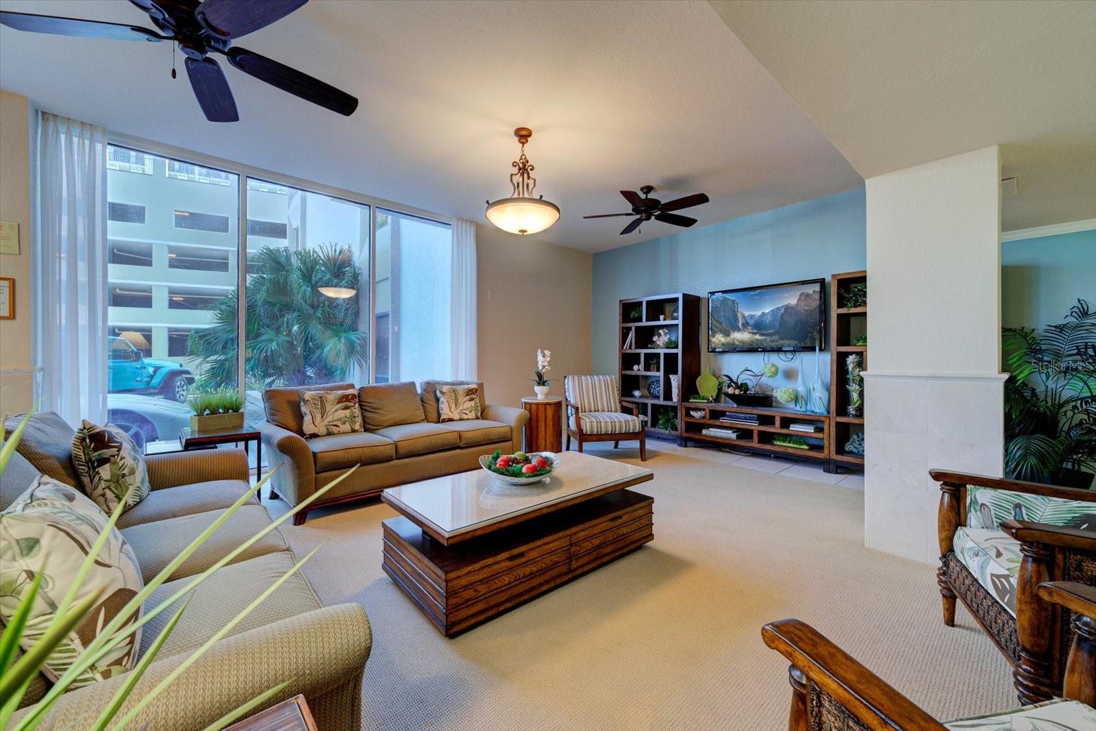 Community TV Area