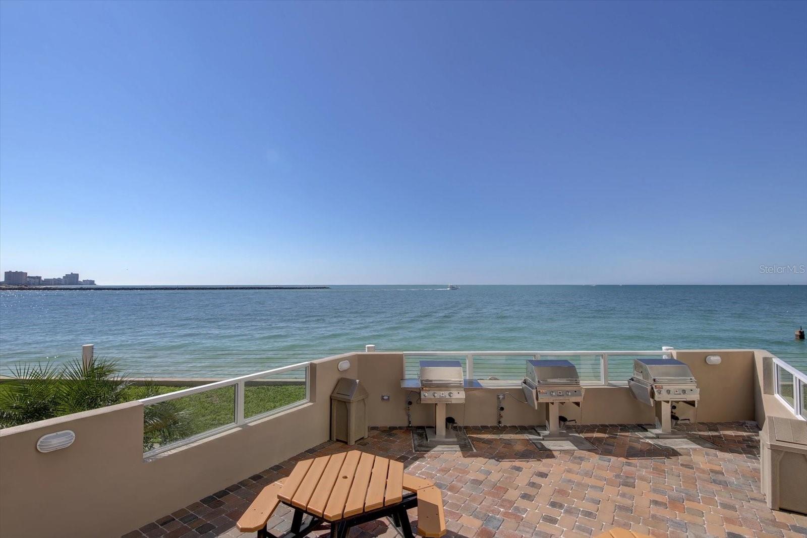 BBQ Grill Area
