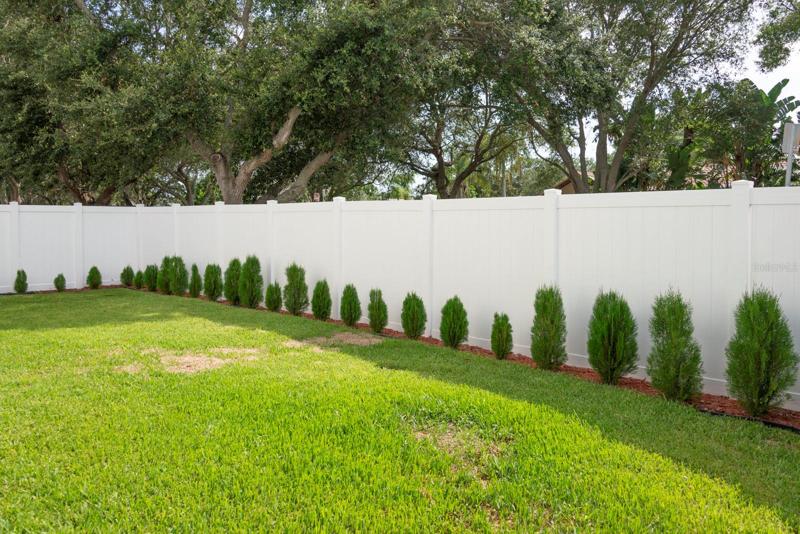 Charming side yard