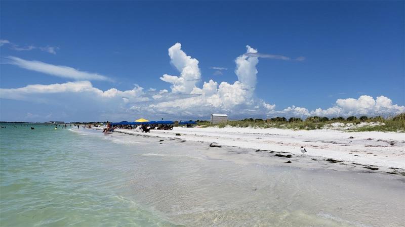 Clearwater beach 30 minutes away