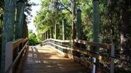 Just down the Road Enterprise dog park walking paths
