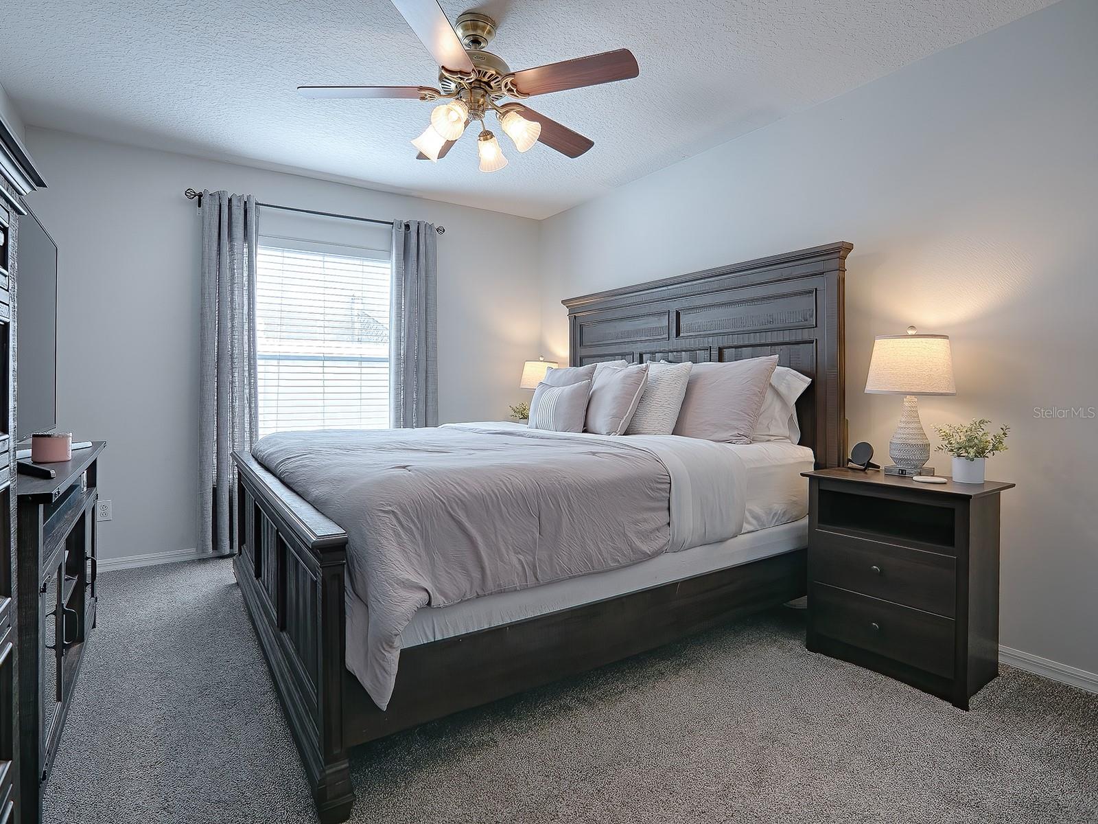 Generous sized 2nd bedroom, large enough to accommodate a king size bedroom set!