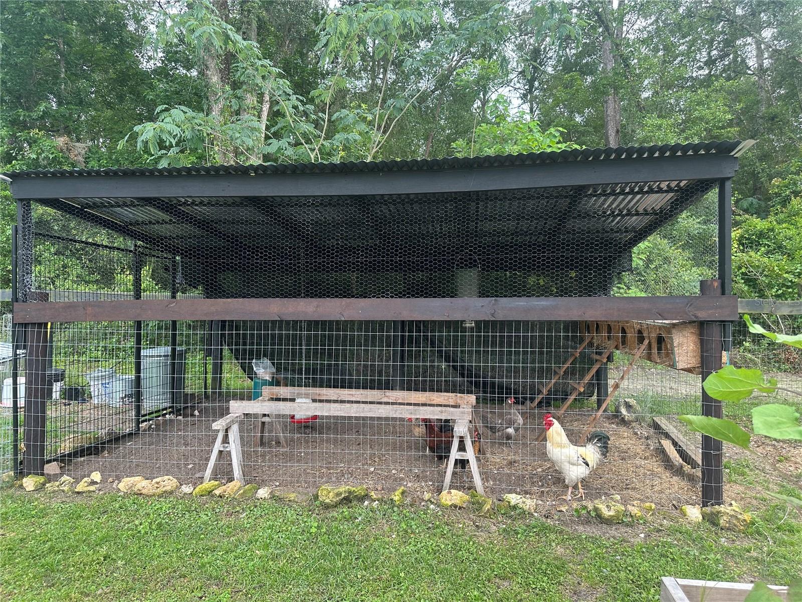Chicken coop