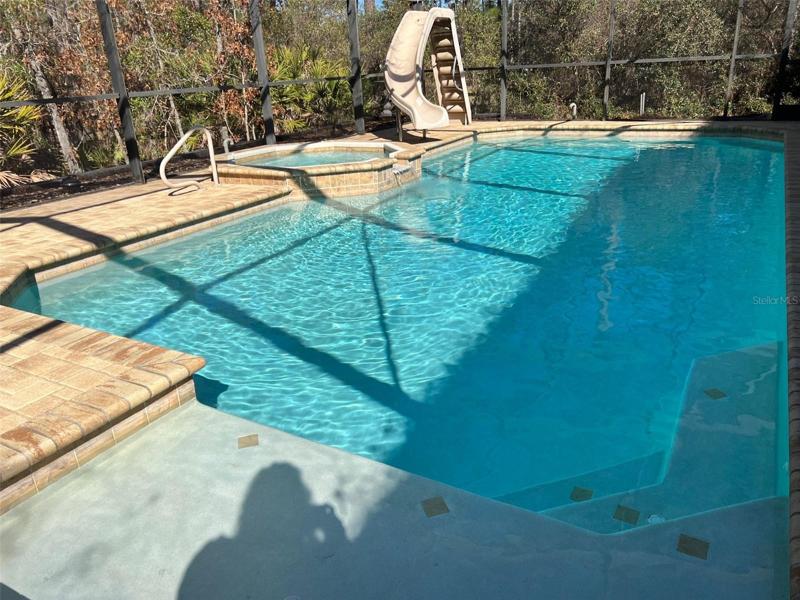 Amazing pool with shallow lounging area, whirlpool and spa with a slide!