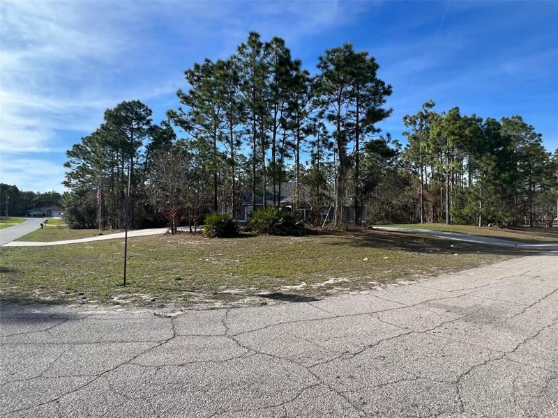 Corner lot with circular driveway (house behind the trees for privacy)