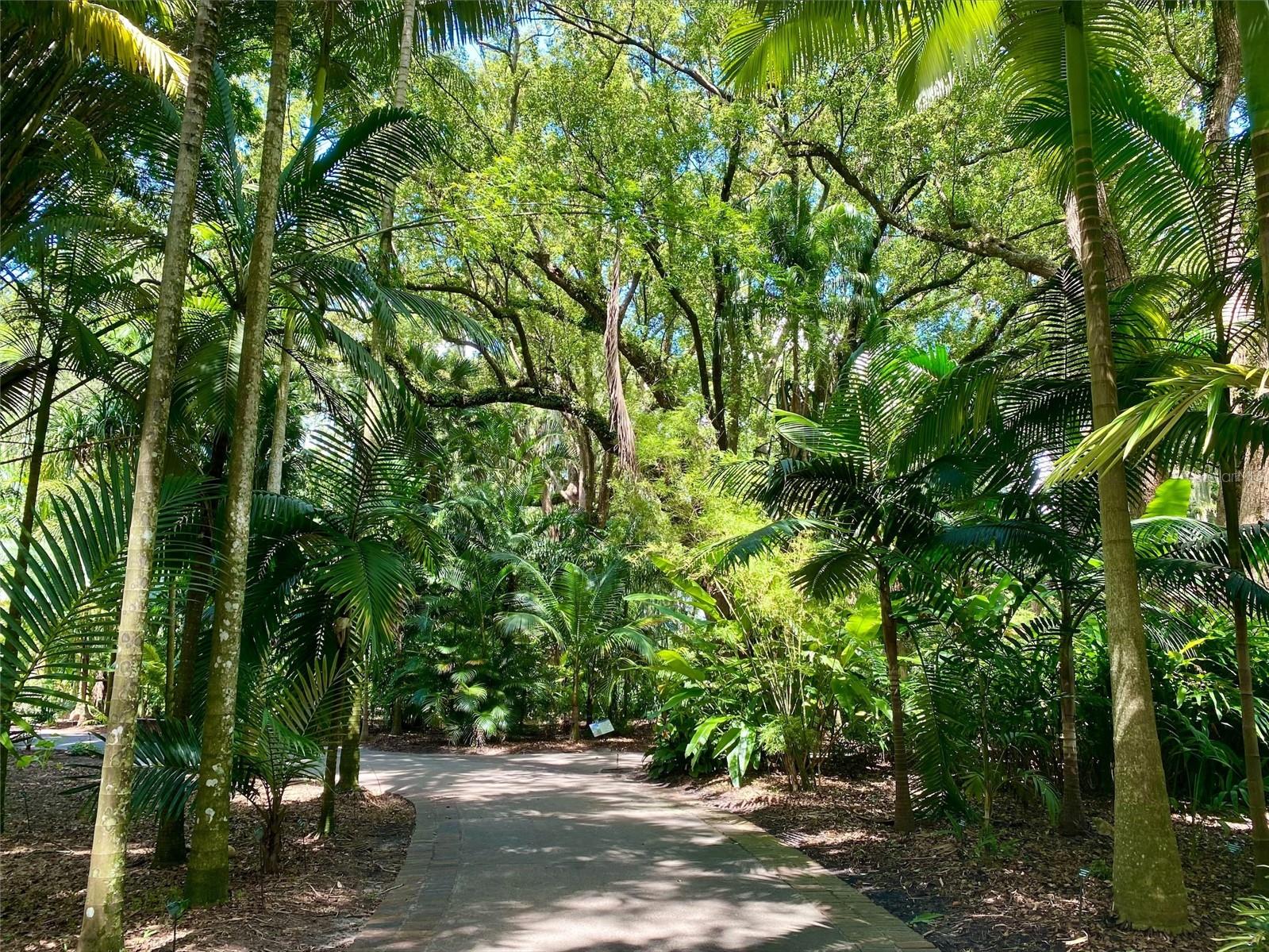 Harry P. Leu Gardens