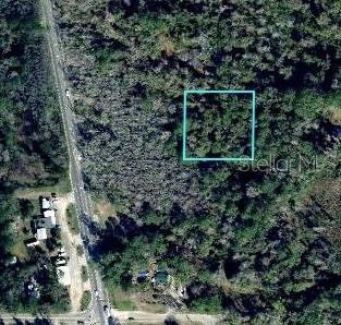 Oak Ridge E Road, Tallahassee, Florida 32305, ,Land,For Sale,OAK RIDGE,U8202905