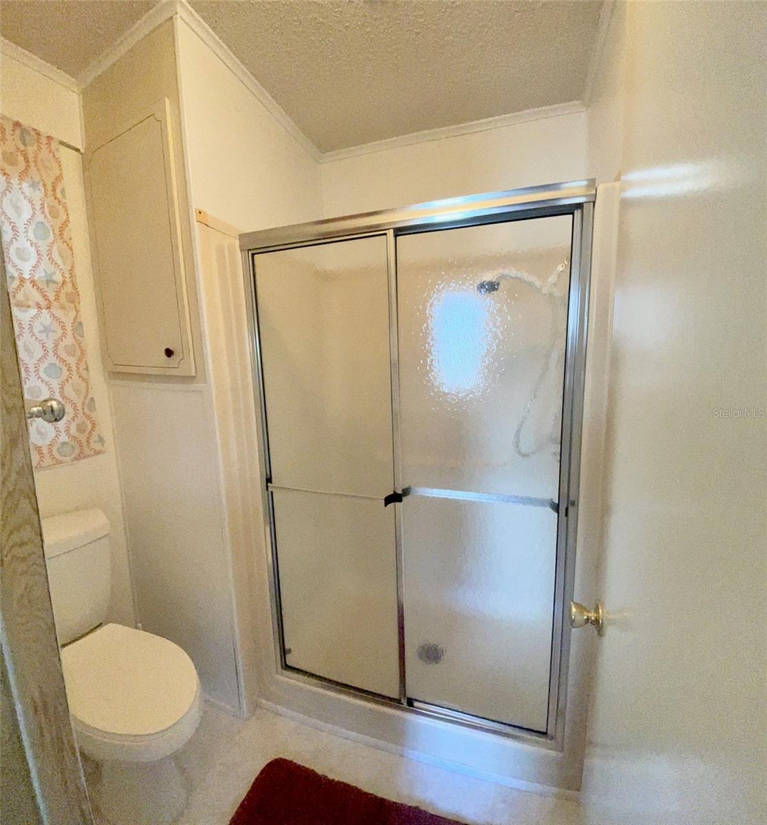 Master Bathroom Shower