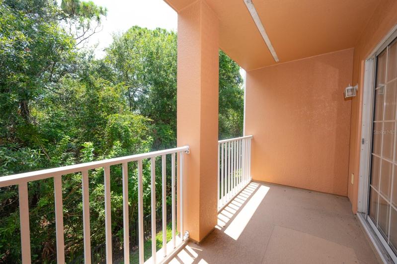 2nd floor balcony overlooking preserve