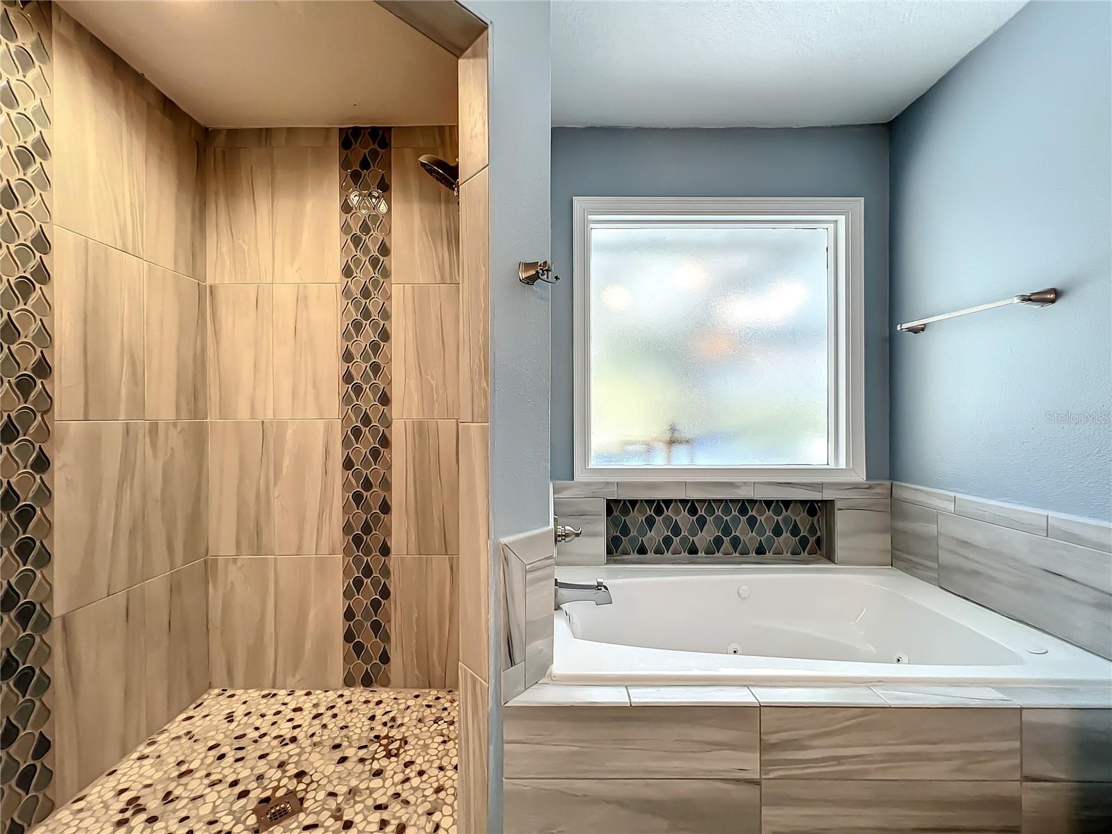 Both Shower Stall &amp; Jacuzzi Tub