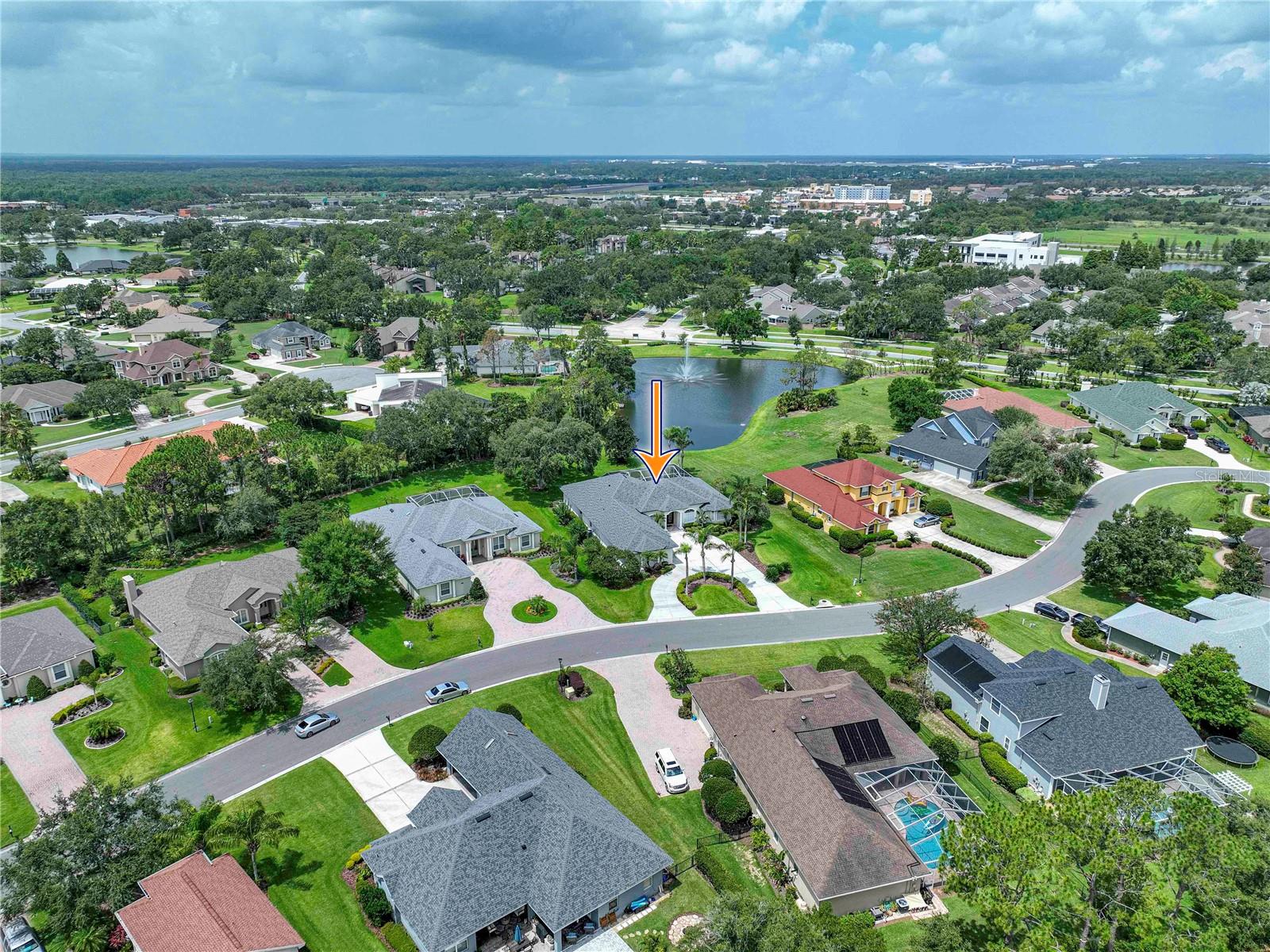Neighborhood Aerial