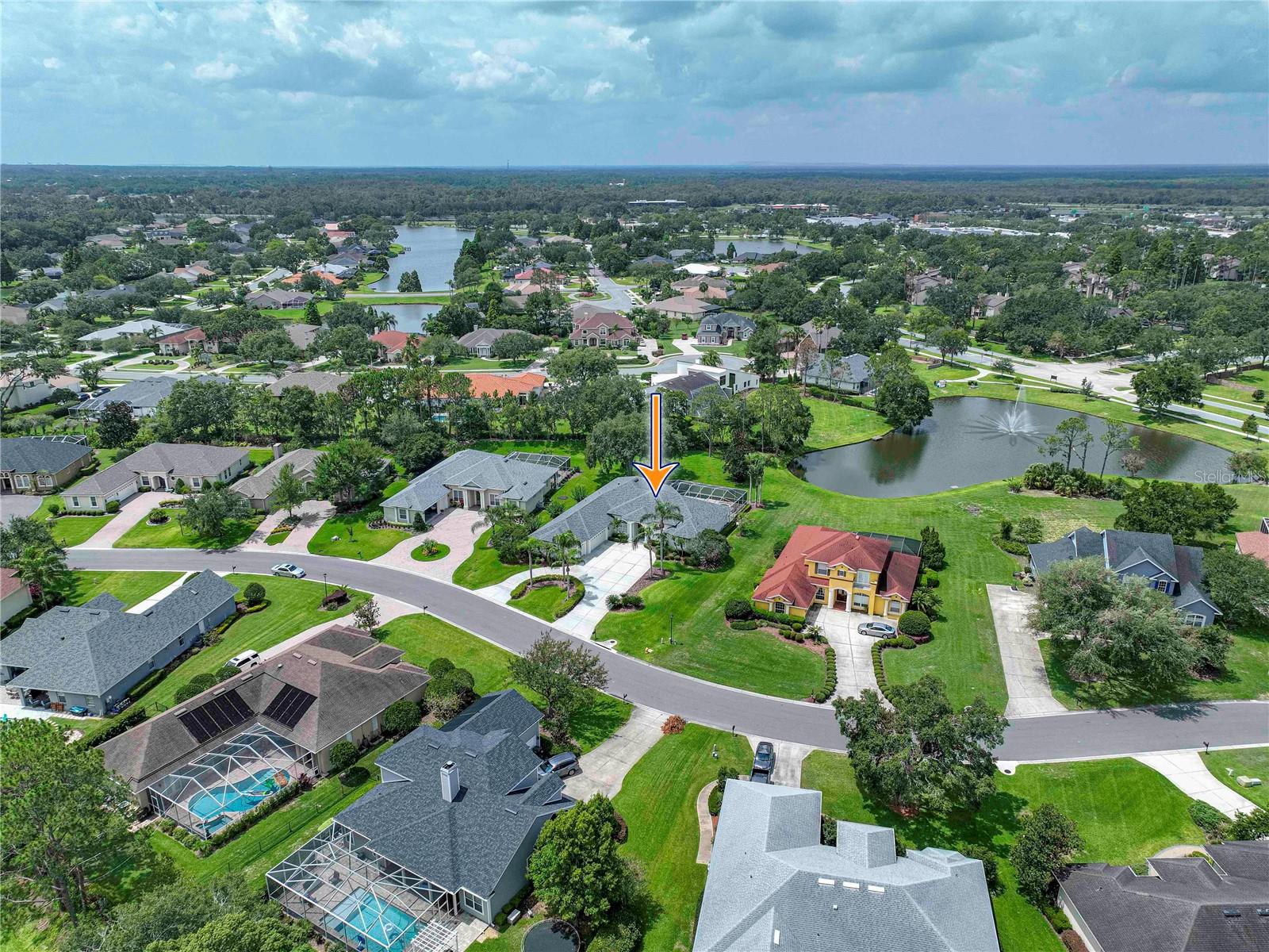 Neighborhood Aerial