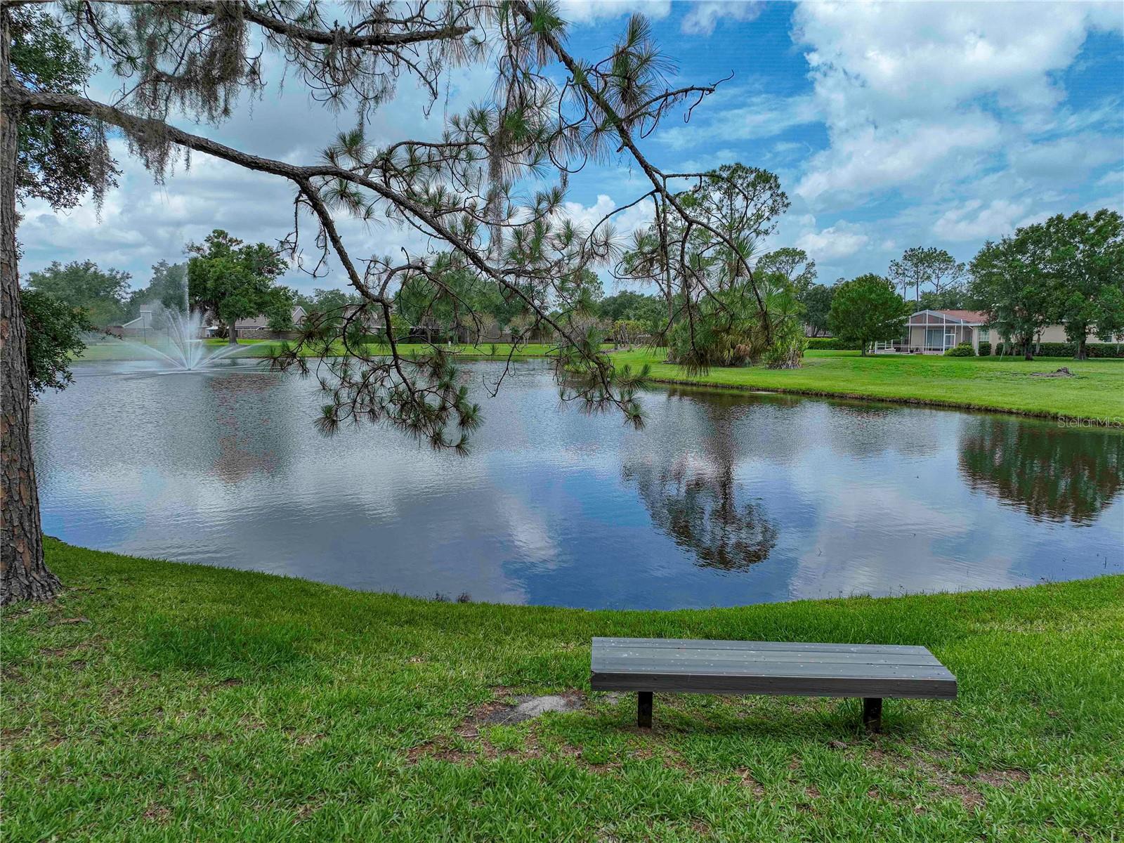 Lake in Rear of House