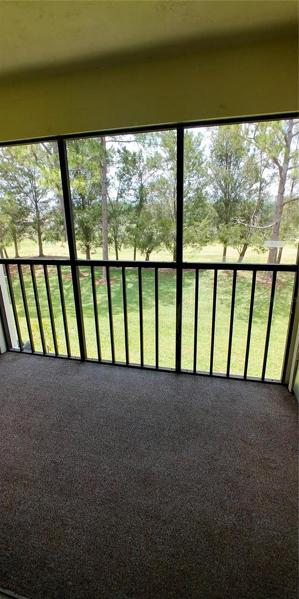 view from porch