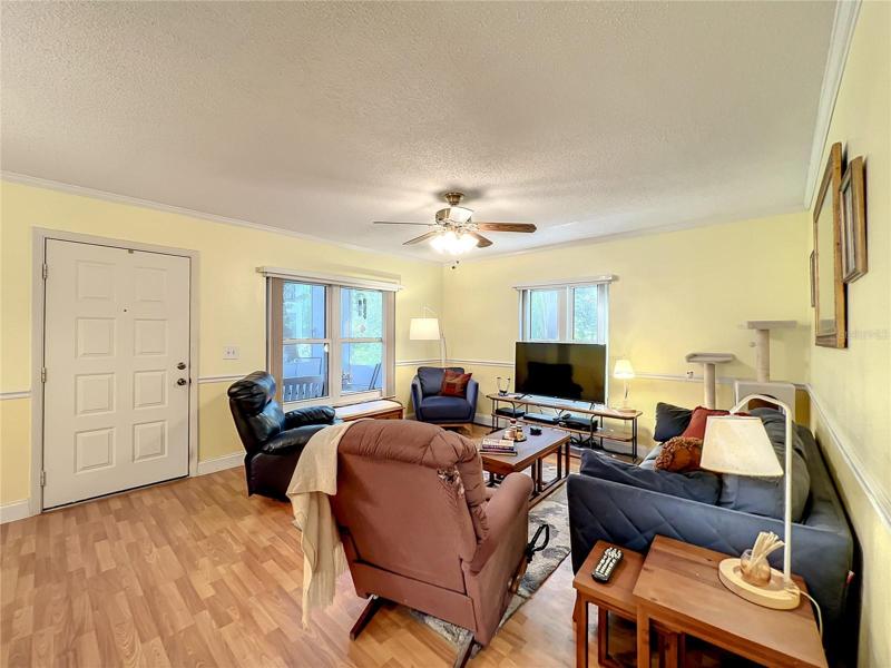 Front Door into Living Room