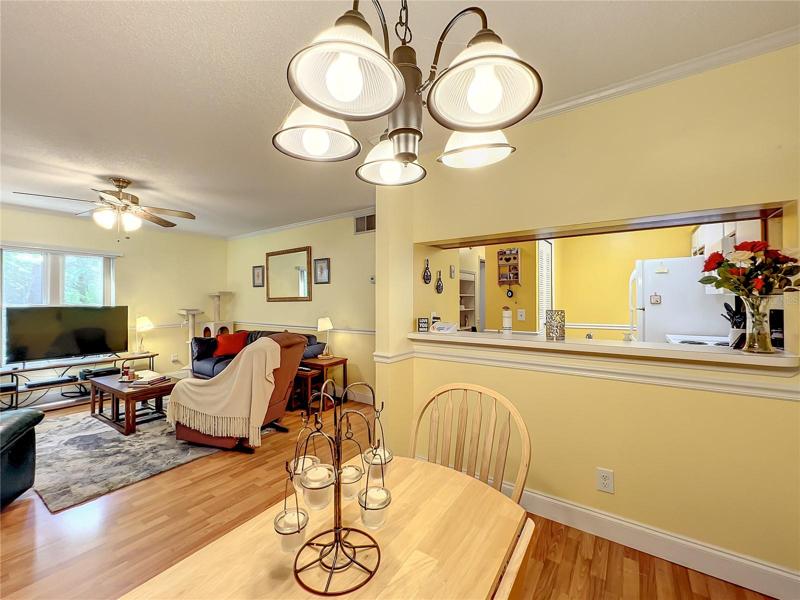 Dining Area/Living RoomKitchen Pass Through