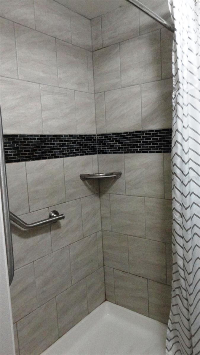 2nd bathroom with walk-in shower and safety bars