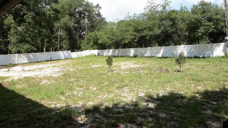 Fully fenced huge back yard!