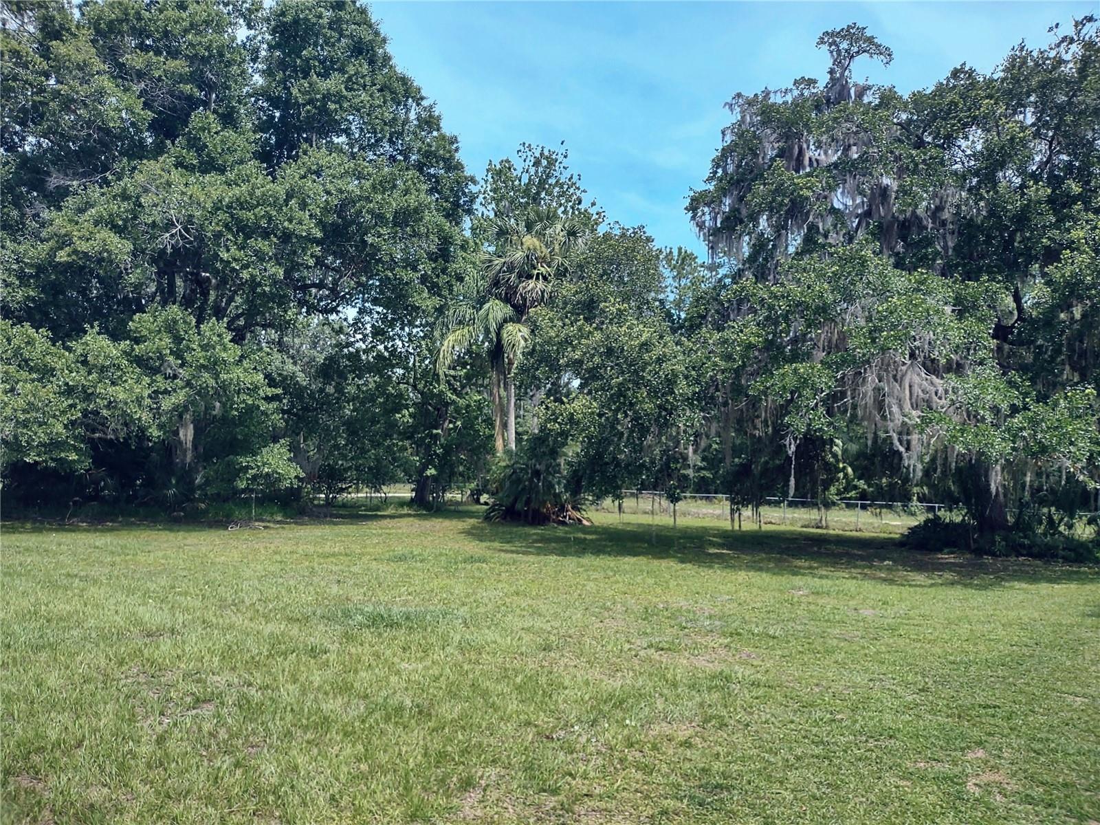 Large front yard with chain link fence