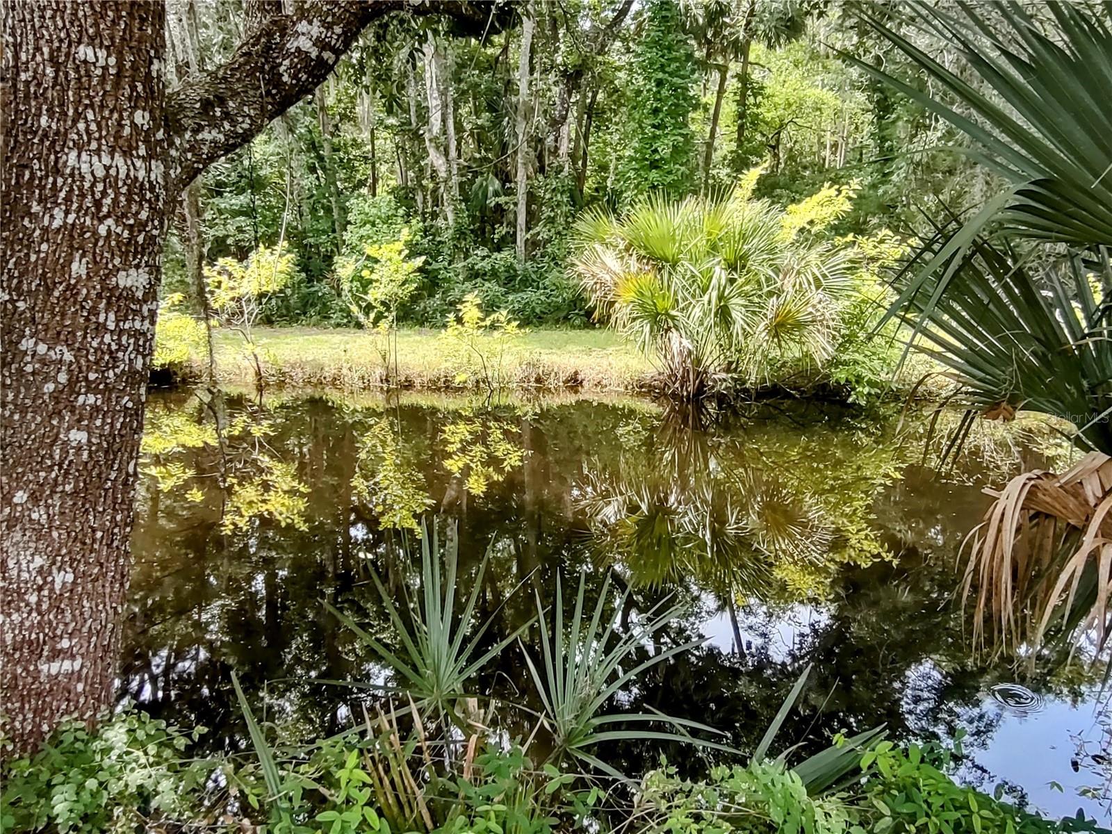 Beautiful canal frontage