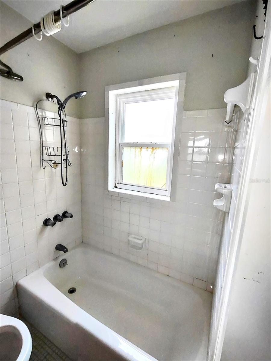 Master bath tub and shower