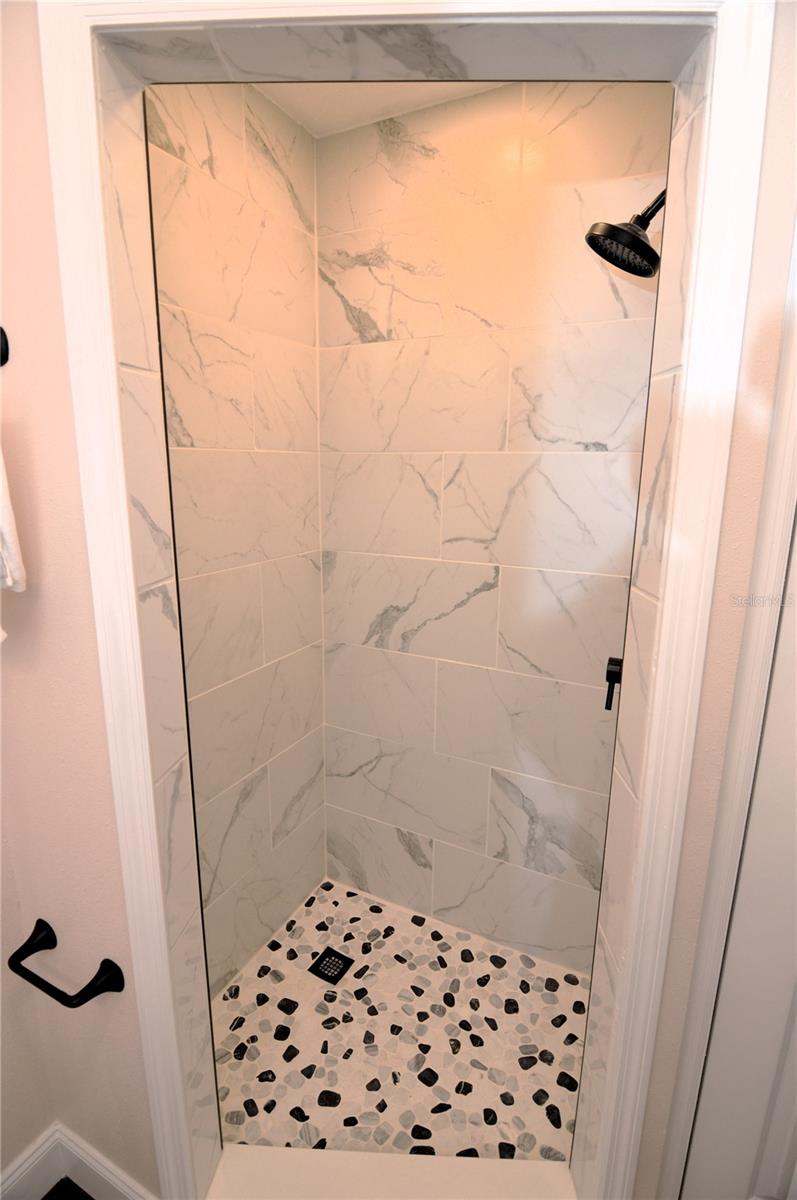 Guest bath shower