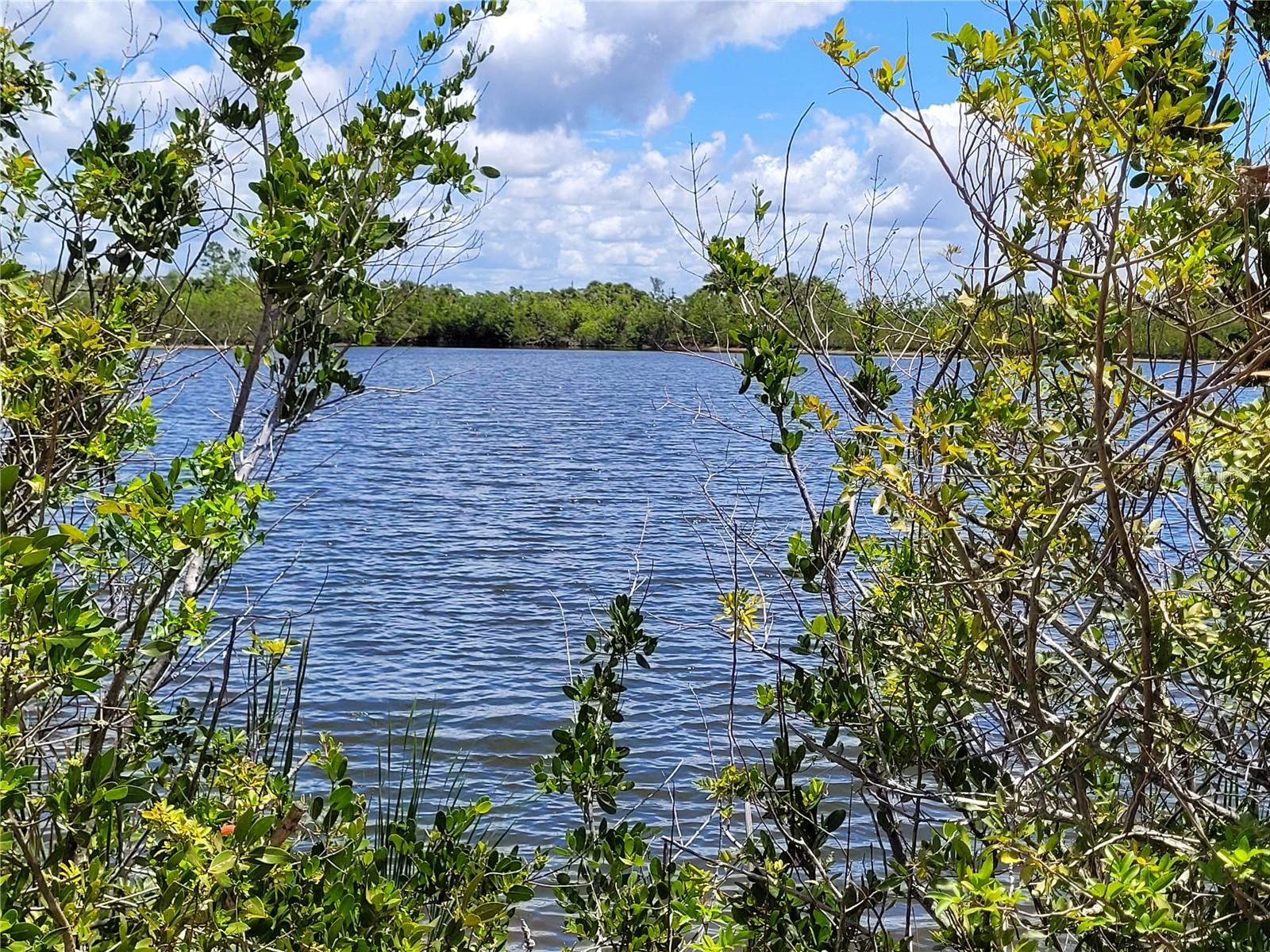 Lake from the banks of Lot 59