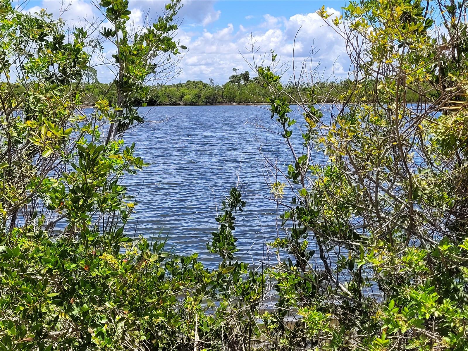 close up of lake from lot 59