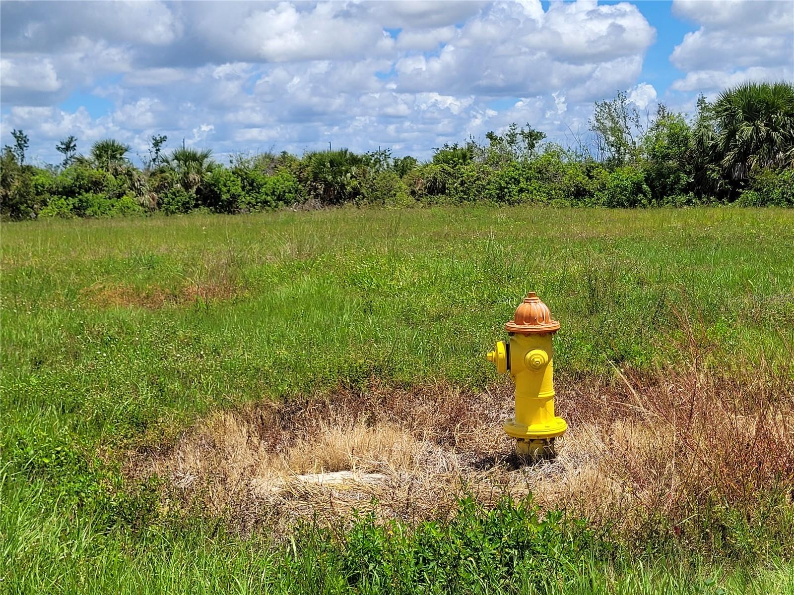 Fire hydrant right in the cul-de-sac