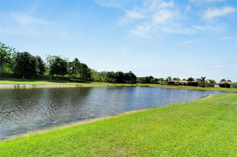 Pond View