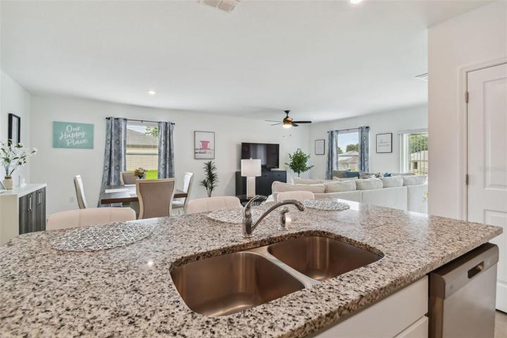 Kitchen sink and island