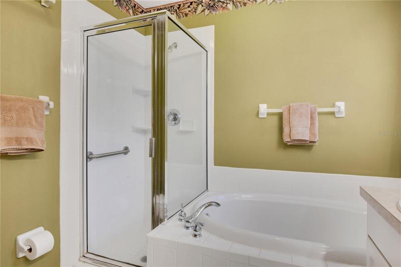 Primary bathroom shower and tub