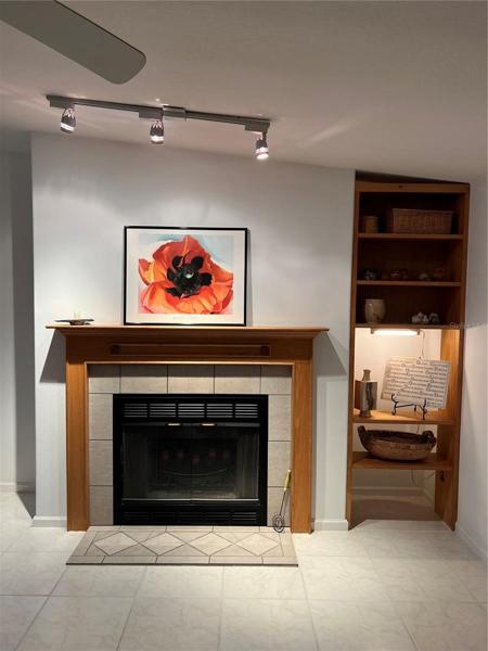 ELECTRIC FIREPLACE