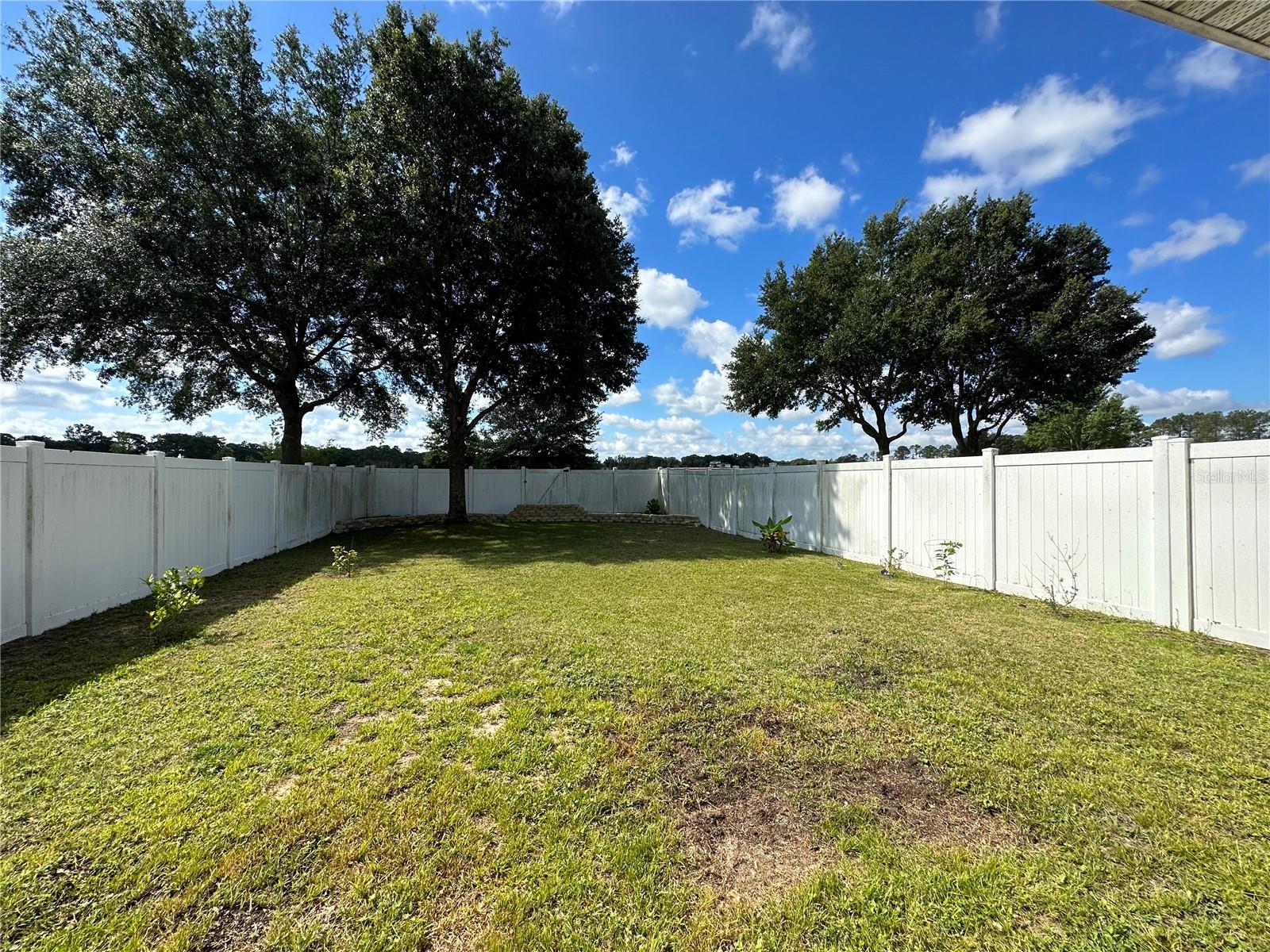 Backyard