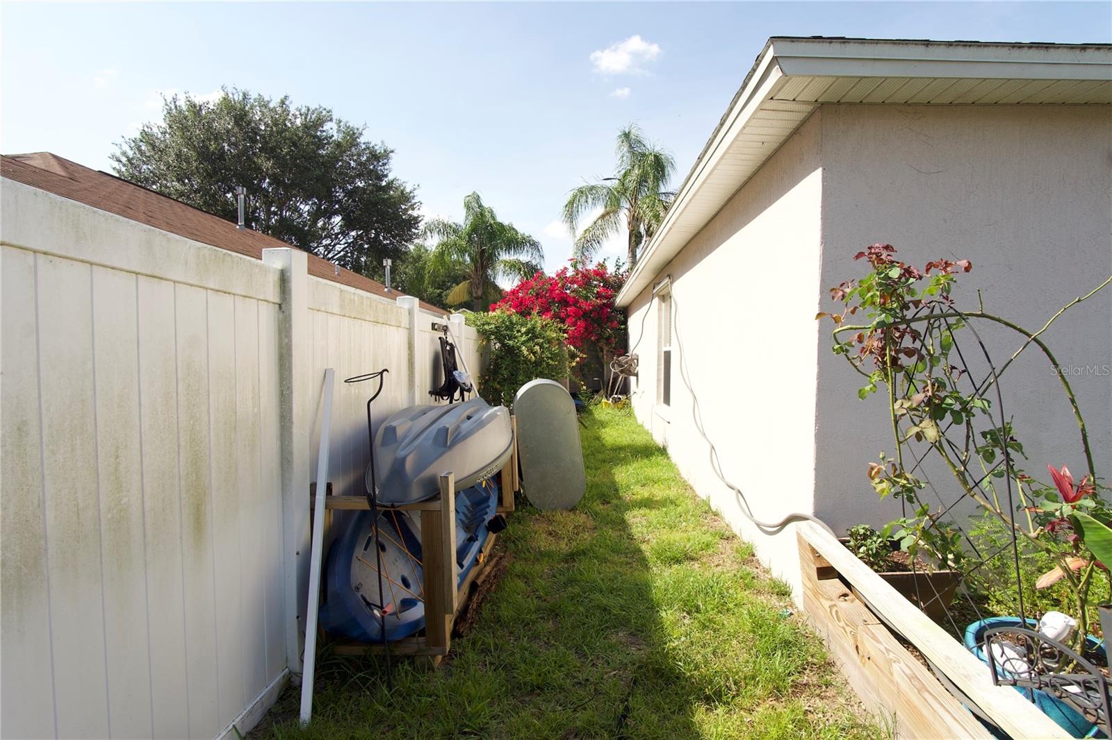 side backyard