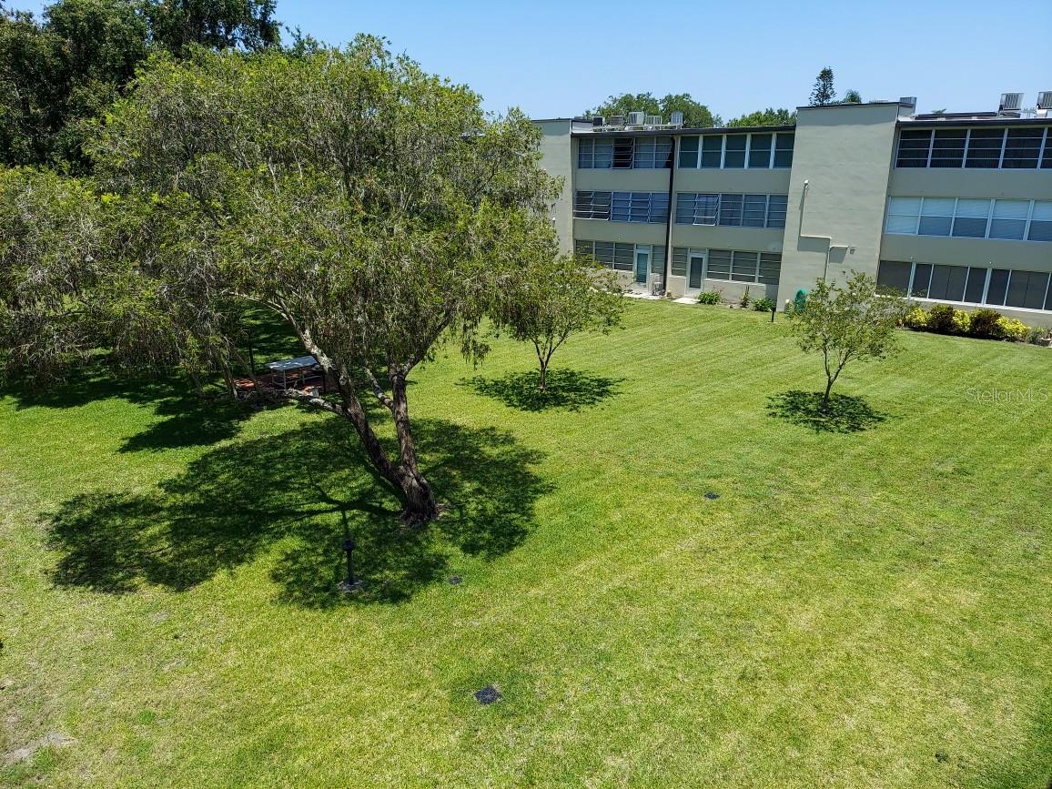 Green space between buildings
