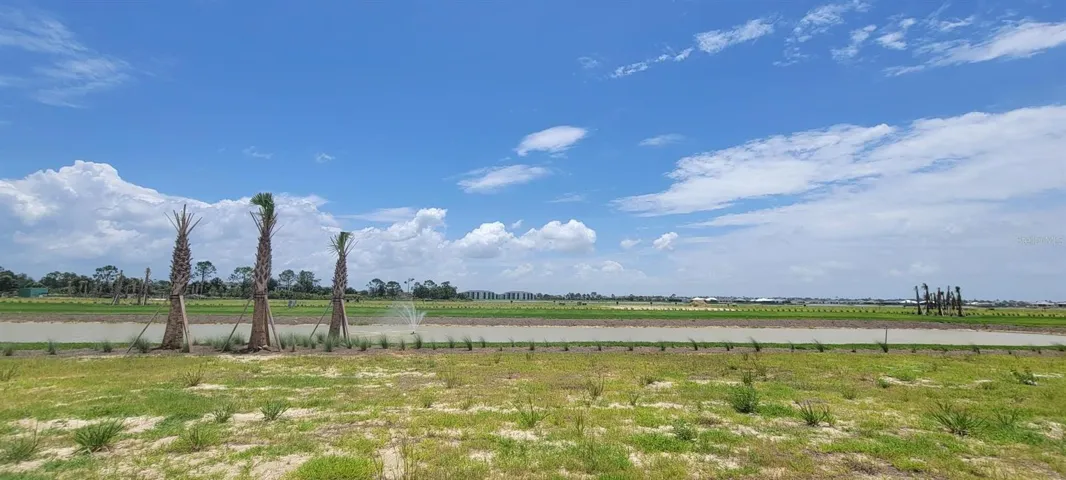 Homesite 68 backyard view of interior pond
