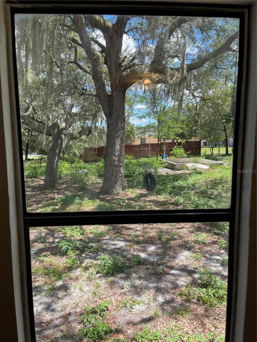 backyard view from the kitchen