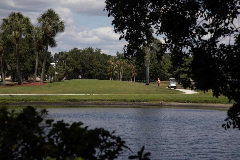 Golf Course Views